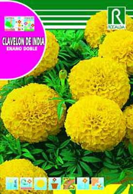 GuaschSemillas®-Huerta & Jardin-Flores-Clavelon-De India Enano Doble  Amarillo | Virreina Doble - Características