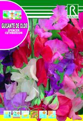GuaschSemillas®-Huerta & Jardin-Flores-Guisante-De Olor Spencer Cuthberson  Variado | Arvejilla - Características
