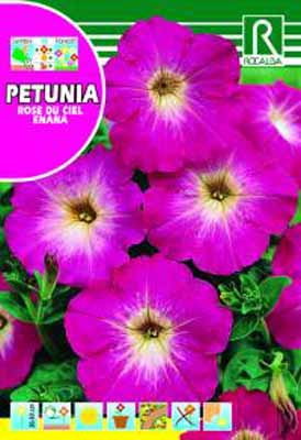 GuaschSemillas®-Huerta & Jardin-Flores-Petunia-Rose Du Ciel Enana -  Características