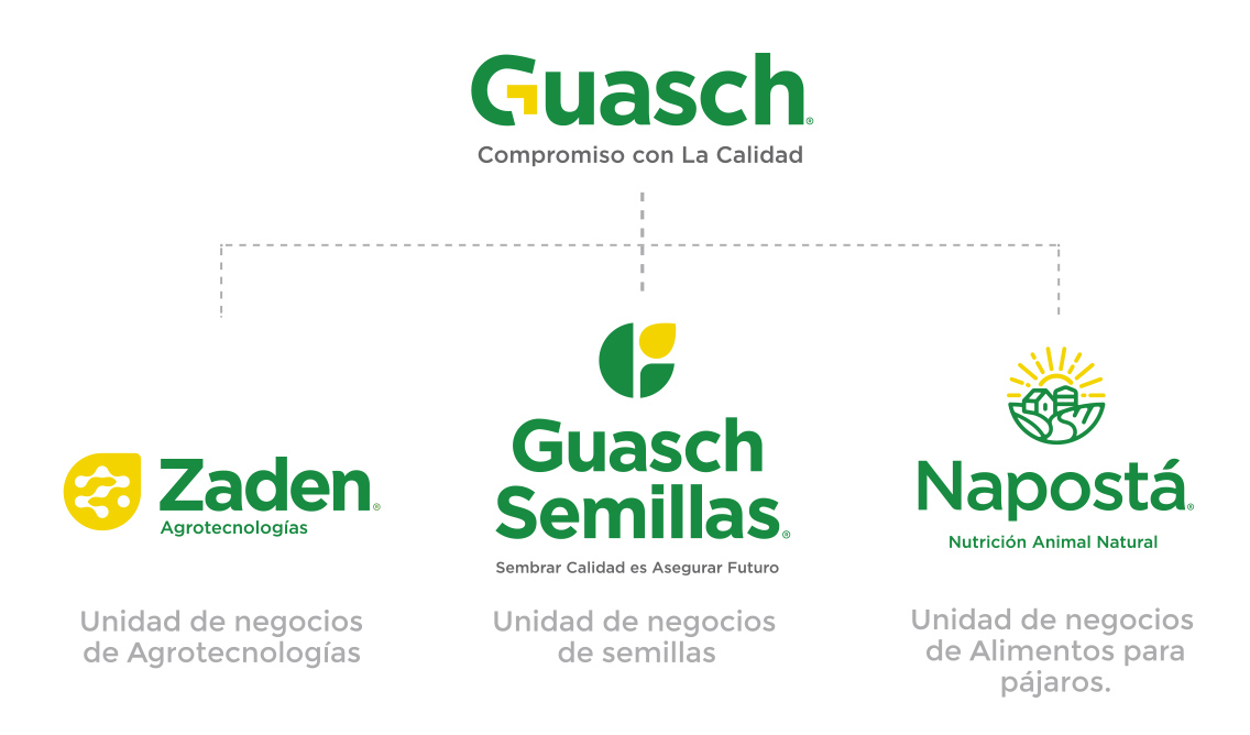 Organización de la estructura marcaria de Guasch®